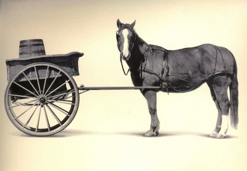 cart_before_horse